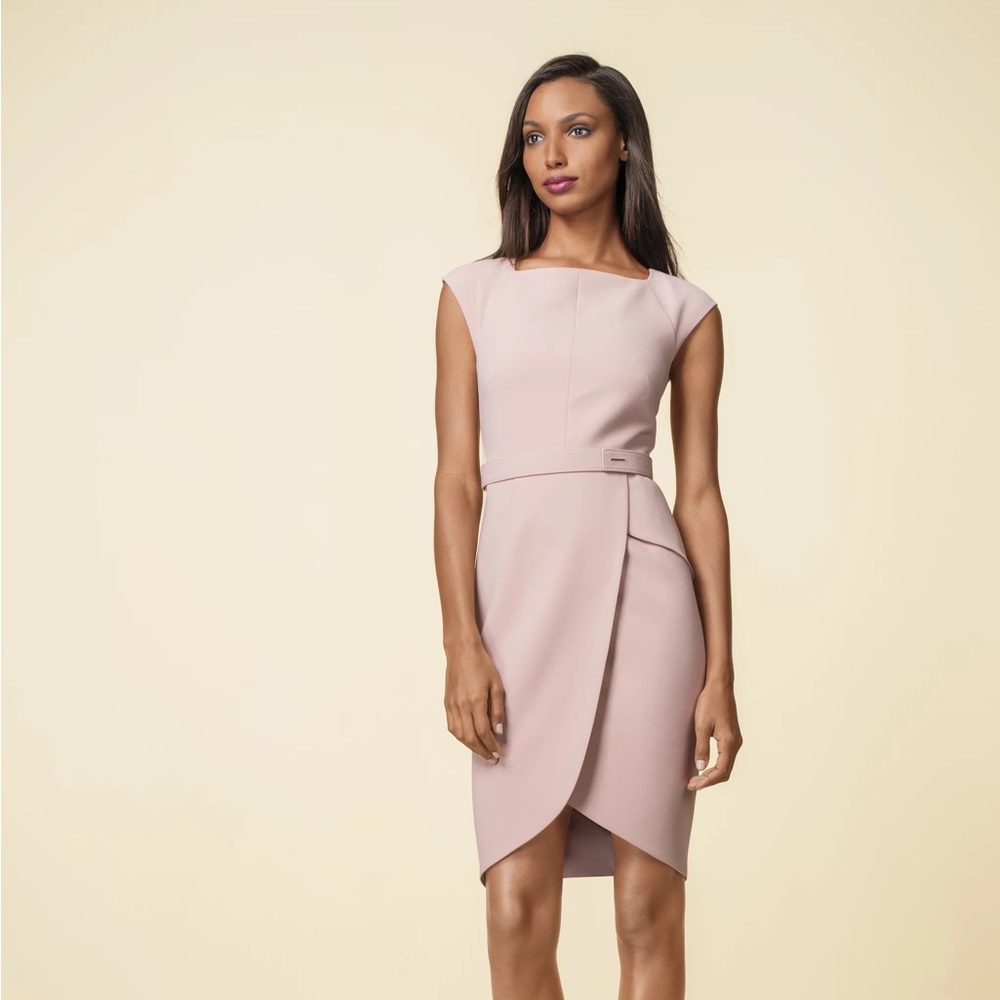 Like New The Limited Scandal Collection Tulip Dress